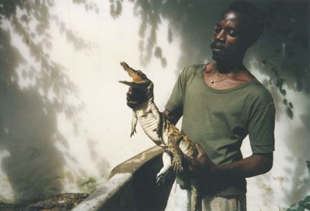 Kenya Mombasa Zoo 1987